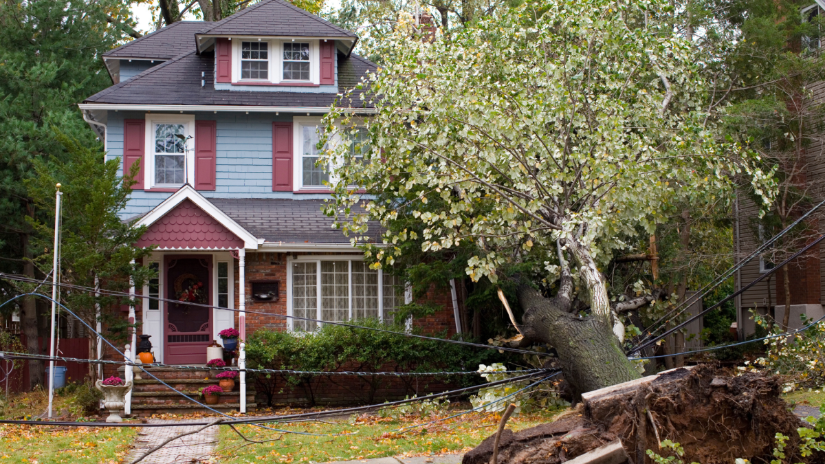 10 TIPS TO PROTECT YOUR HOME FROM STORM DAMAGE