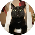 Joseph profile picture